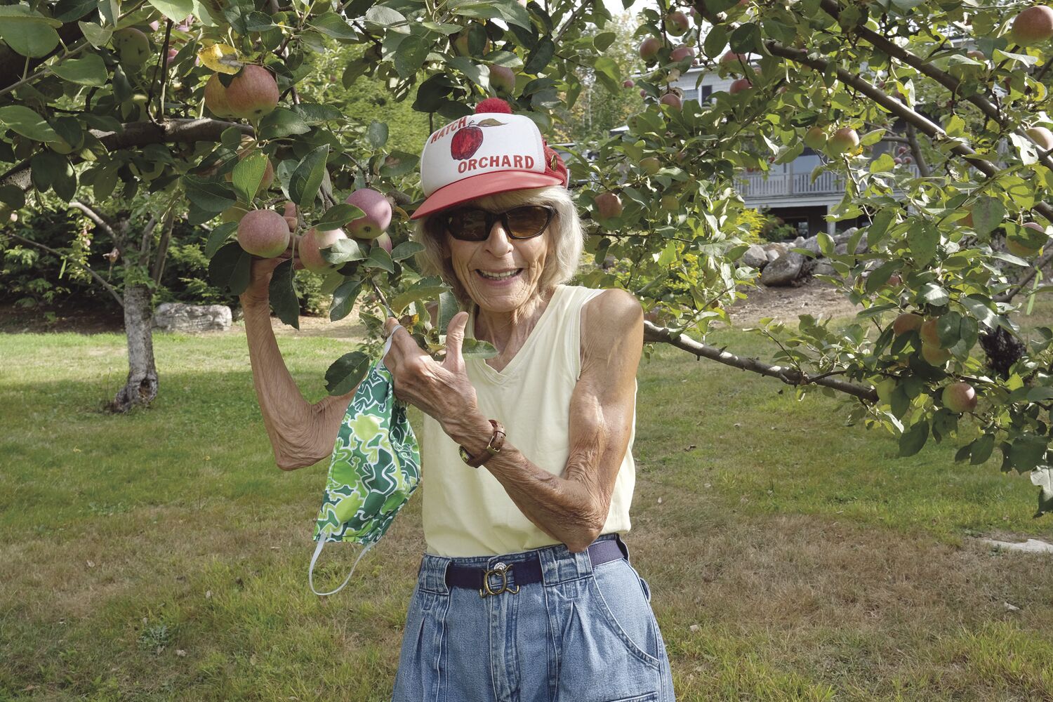 Apples in a drought: A bit small, but sweet